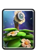 Suspicious Bush